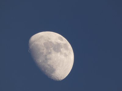 20200105 - Durant Nature Preserve - Moon